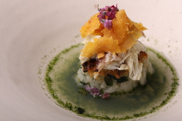 漁師の家で育った料理人が仕立てたコース料理